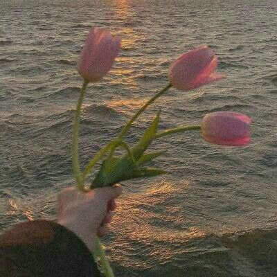 威尼斯会员登录