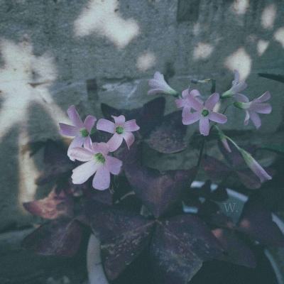 爱游戏体育app下载