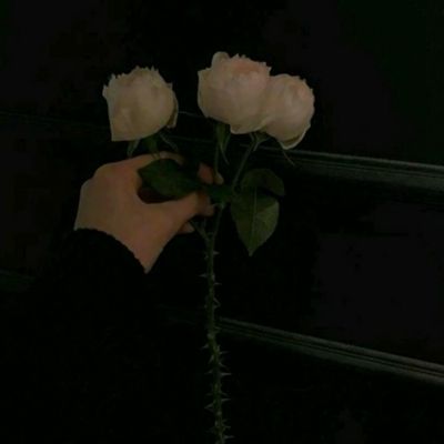 亚搏全站APP官网下载截图